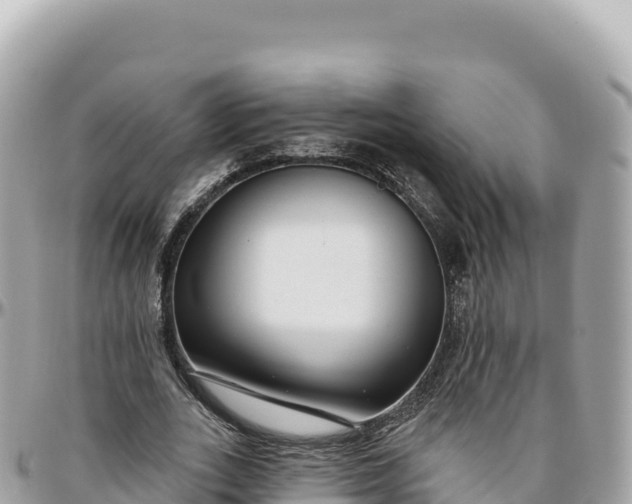 X0000095880727200801251140