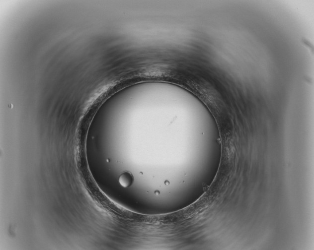 X0000095880728200801251140