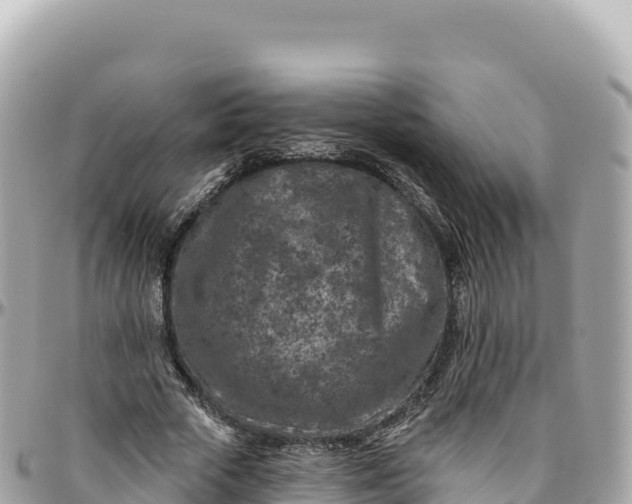 X0000095880729200801251140