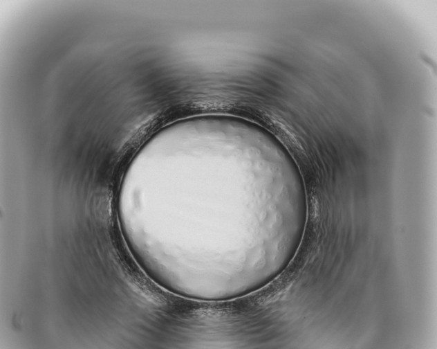 X0000095880733200801251140