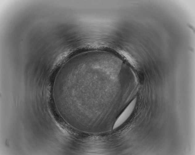 X0000095880736200801251140