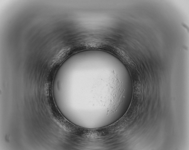 X0000095880738200801251140