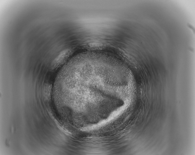 X0000095880742200801251140