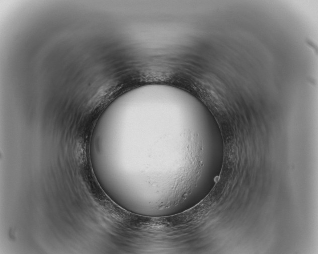 X0000095880743200801251140