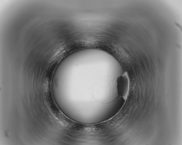 X0000095880744200801251140