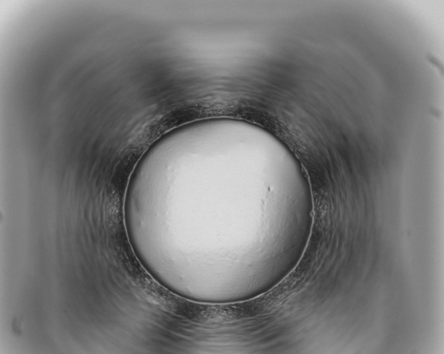 X0000095880745200801251140