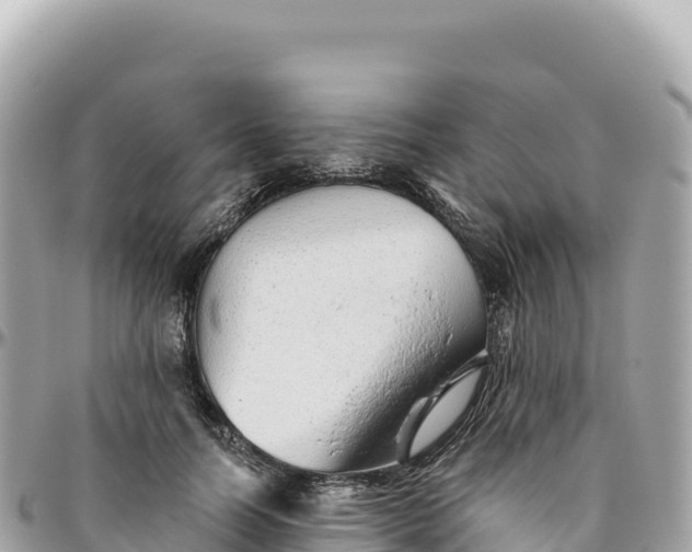 X0000095880746200801251140