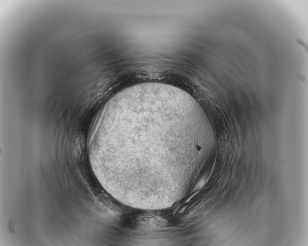 X0000095880747200801251140