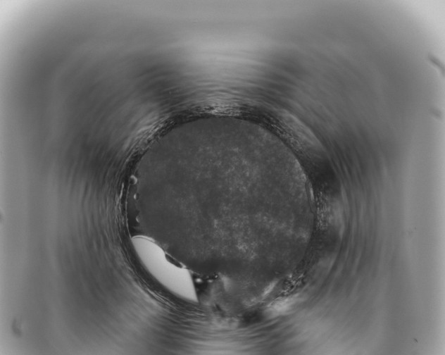 X0000095880748200801251140