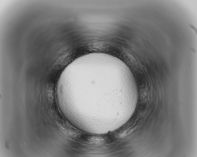 X0000095880749200801251140