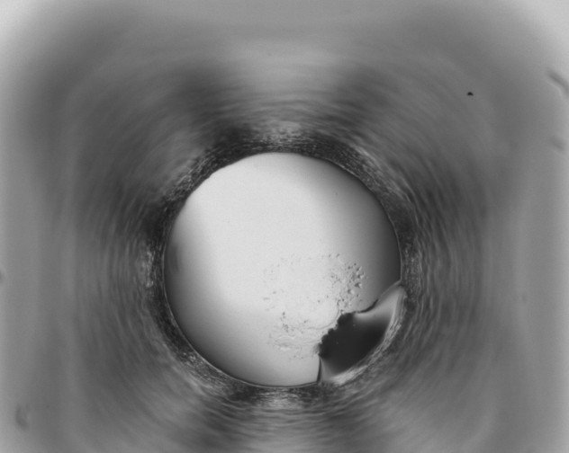 X0000095880750200801251140