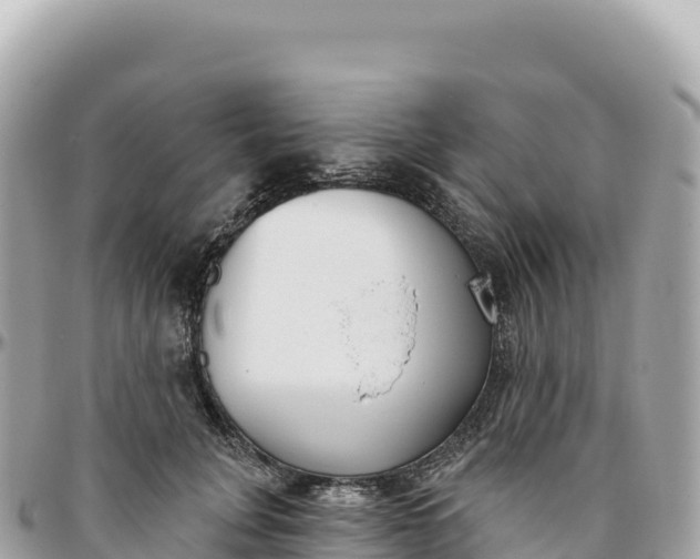 X0000095880751200801251140