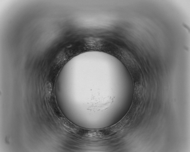 X0000095880752200801251140