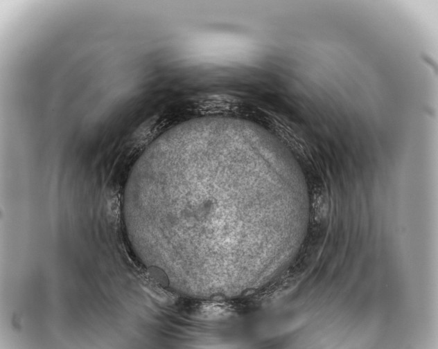 X0000095880753200801251140