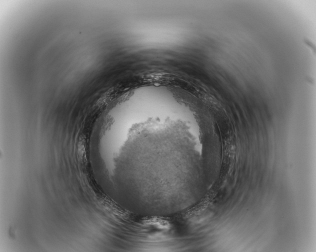 X0000095880754200801251140