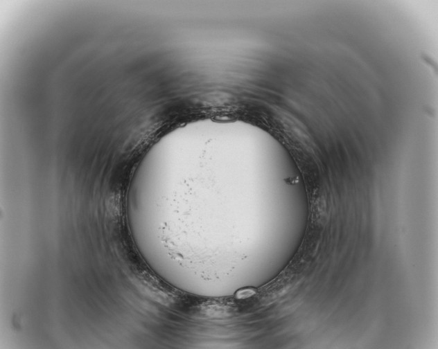 X0000095880756200801251140