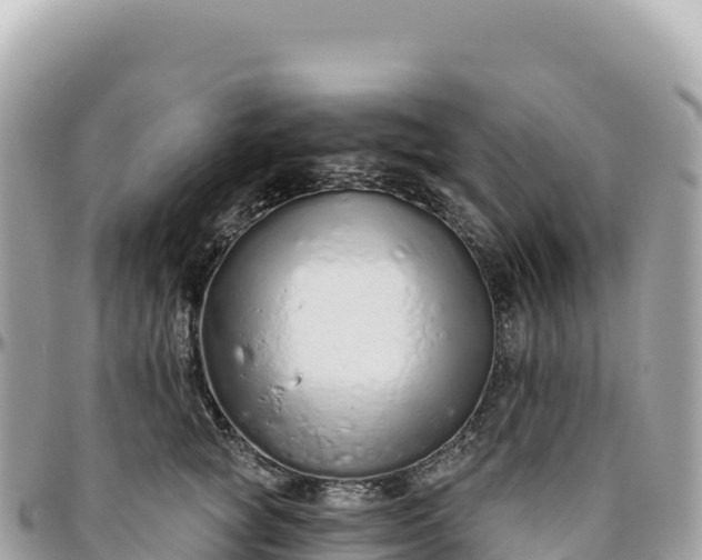 X0000095880757200801251140