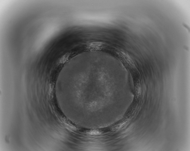 X0000095880759200801251140