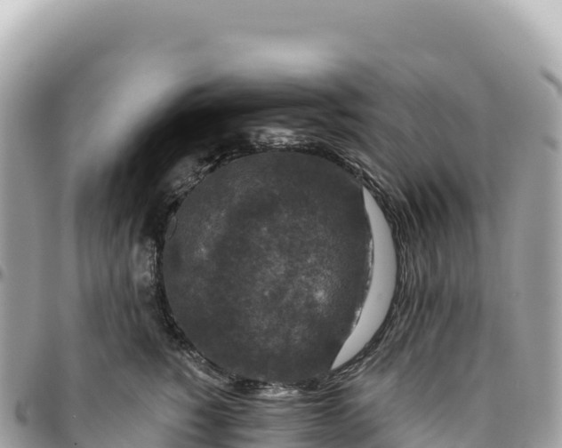 X0000095880760200801251140