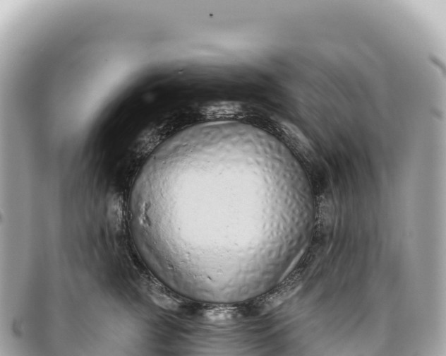 X0000095880761200801251140