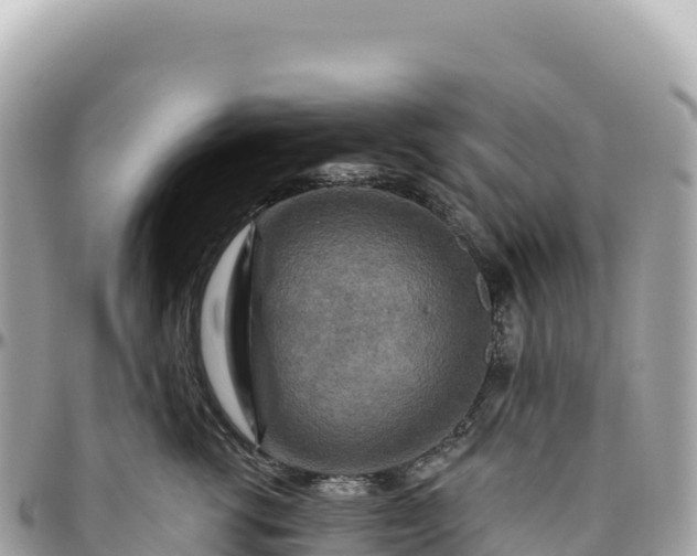 X0000095880762200801251140