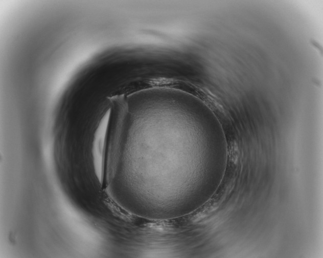 X0000095880763200801251140