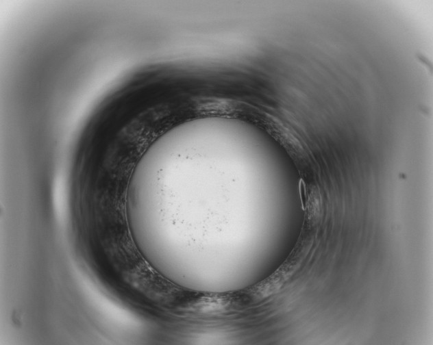 X0000095880764200801251140