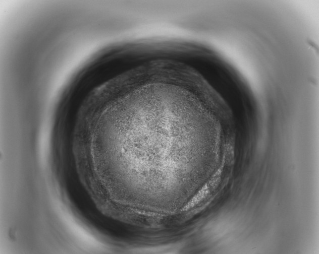 X0000095880765200801251140