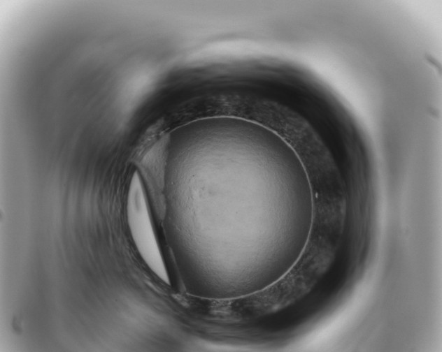 X0000095880766200801251140