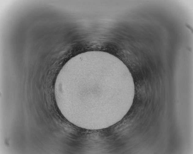 X0000095880769200801251139