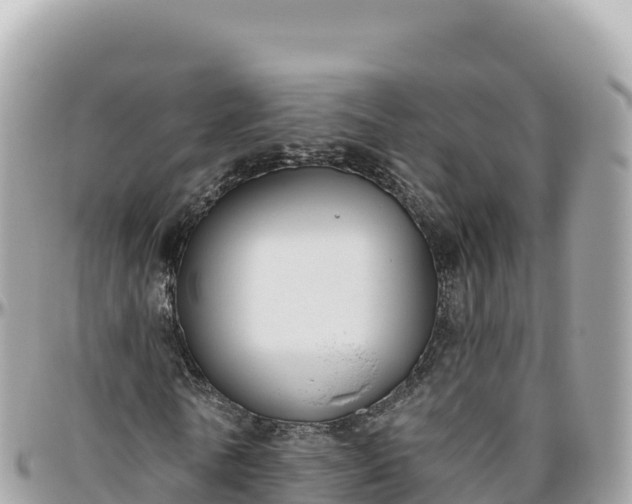 X0000095880770200801251139