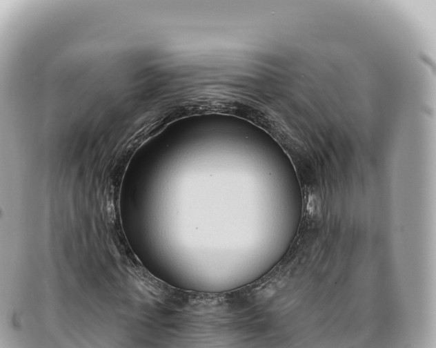 X0000095880771200801251139