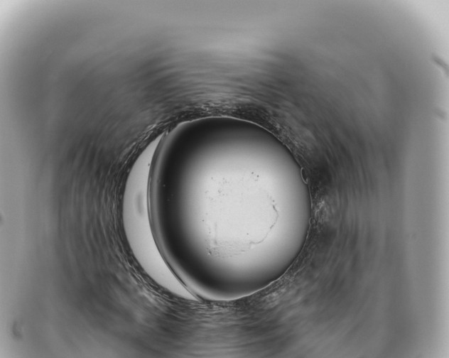 X0000095880772200801251139