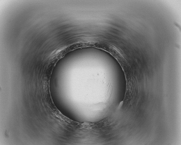 X0000095880773200801251139