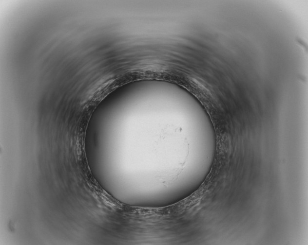 X0000095880774200801251139