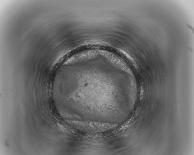 X0000095880775200801251139