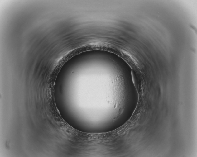 X0000095880776200801251139