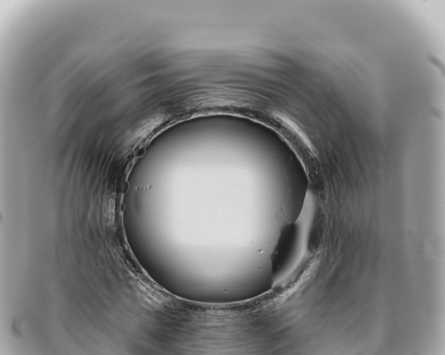 X0000095880777200801251139