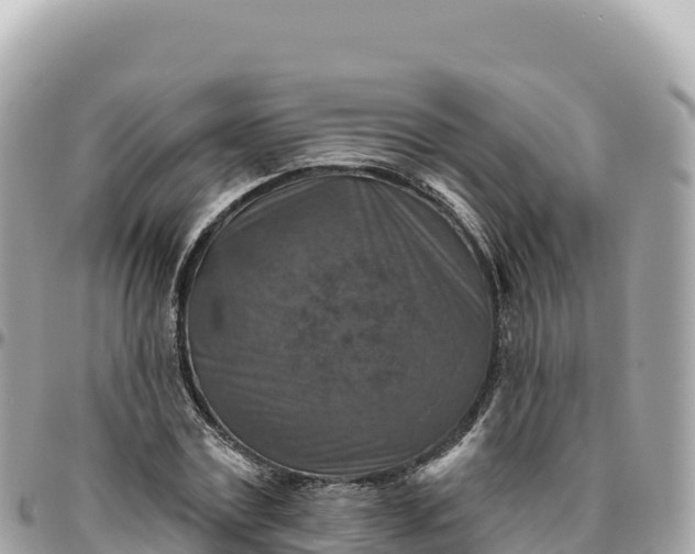 X0000095880779200801251139