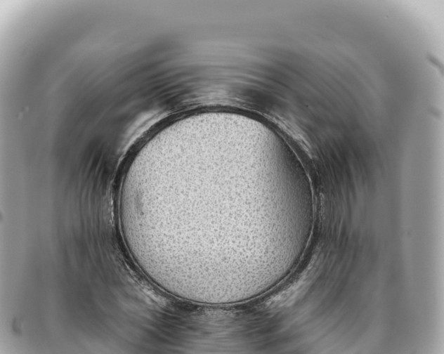 X0000095880782200801251139