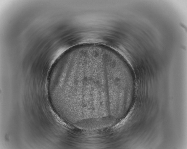 X0000095880783200801251139