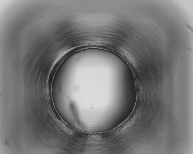 X0000095880784200801251139