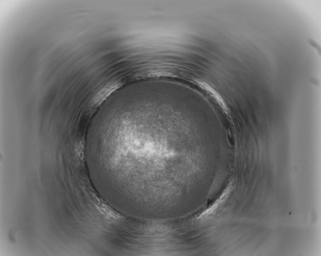 X0000095880785200801251139