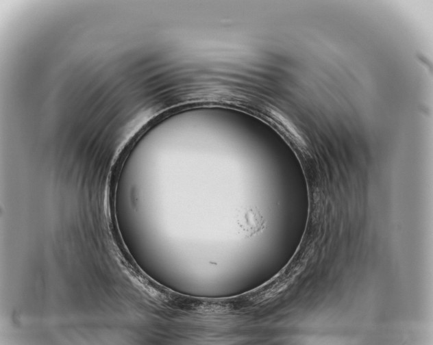 X0000095880788200801251139