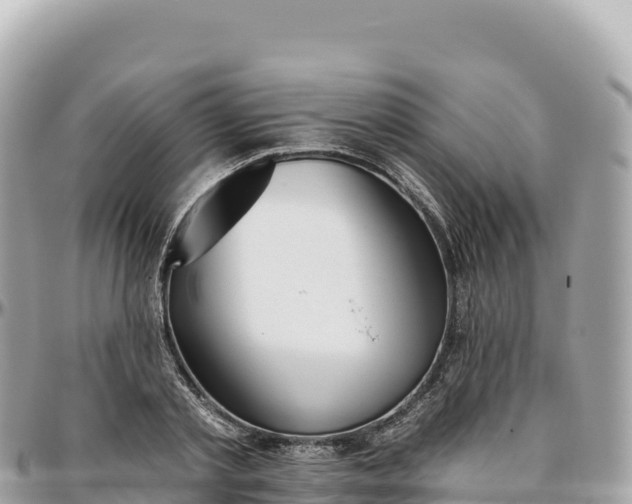 X0000095880789200801251139