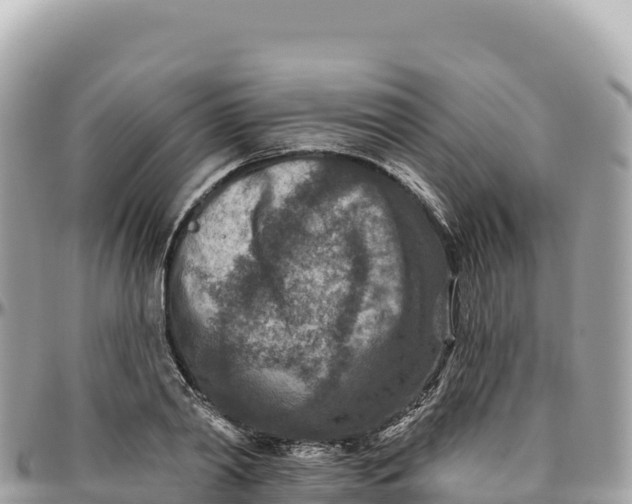 X0000095880790200801251139