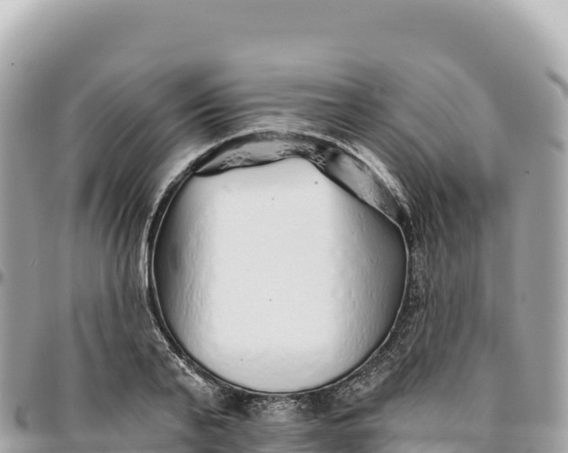 X0000095880791200801251139