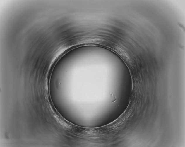 X0000095880792200801251139