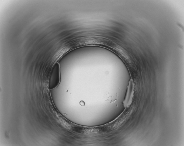 X0000095880793200801251139