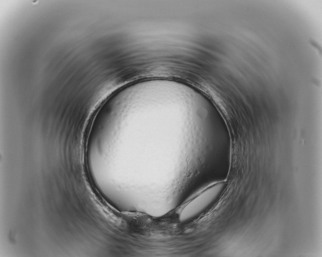 X0000095880795200801251139